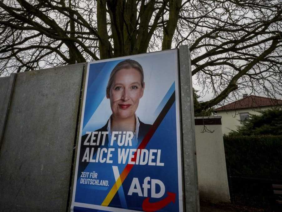 Predvolebný plagát s podobizňou Alice Weidelovej, líderky strany Alternatíva pre Nemecko (AfD).