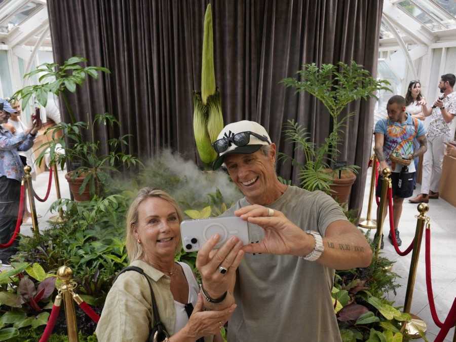 Kvitnúci zmijovec titánsky a pred ním turisti.