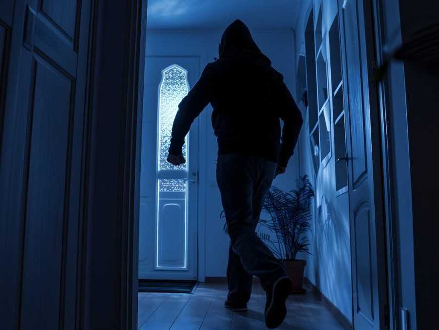 Ilustračná snímka zlodeja.