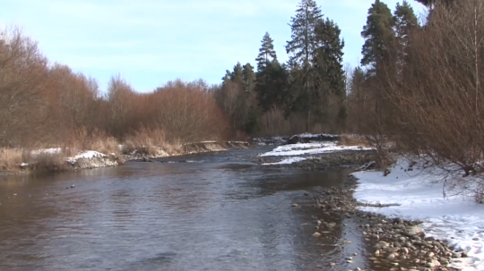 Horská rieka Belá.