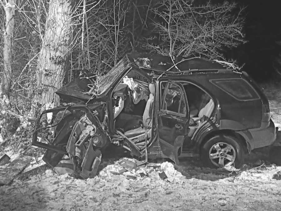 Na snímke je vrak auta po zrážke so stromom.