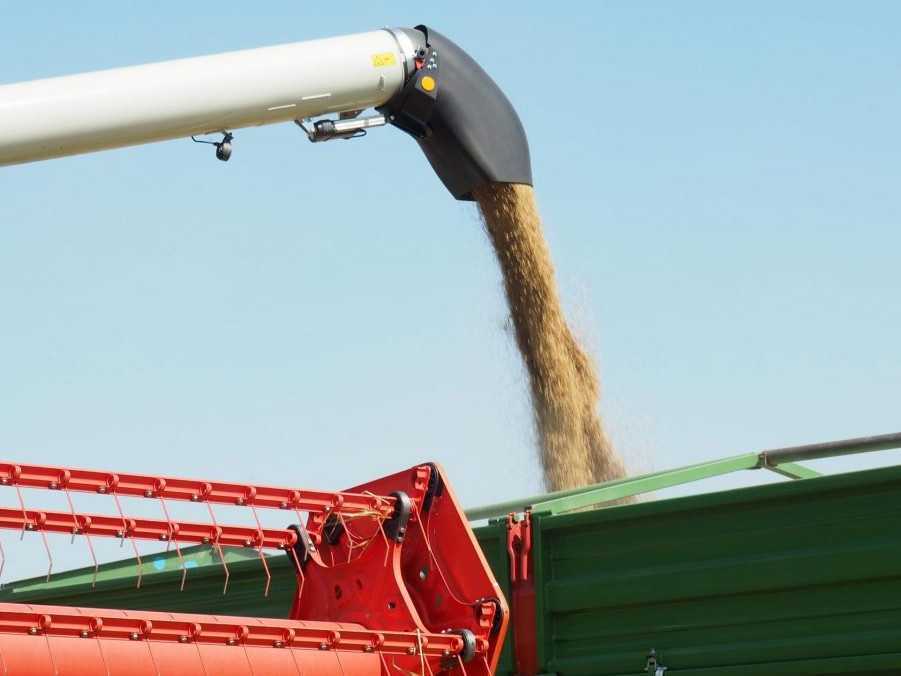 Na ilustračnej snímke zber pšenice.