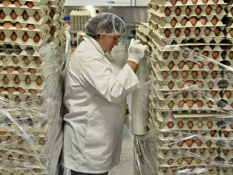 Žena balí vytriedené a zabalené vajcia.