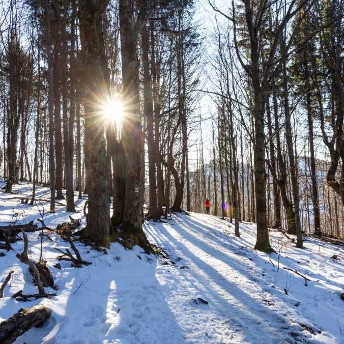 Minulý mesiac bol najteplejším januárom od začiatku meraní, oznámili Copernicus