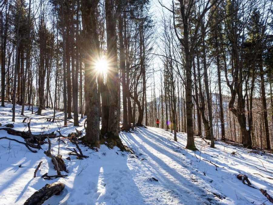 Minulý mesiac bol najteplejším januárom od začiatku meraní, oznámili Copernicus