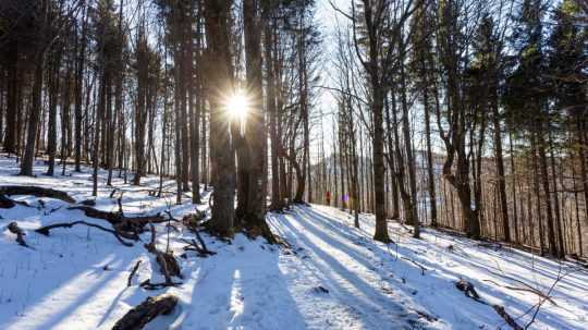 Turistická trasa na vrch Kľak.