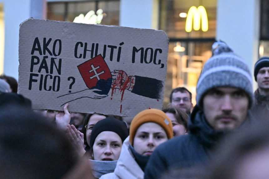 Snímka zo zhromaždenia Slovensko je Európa v Brne.