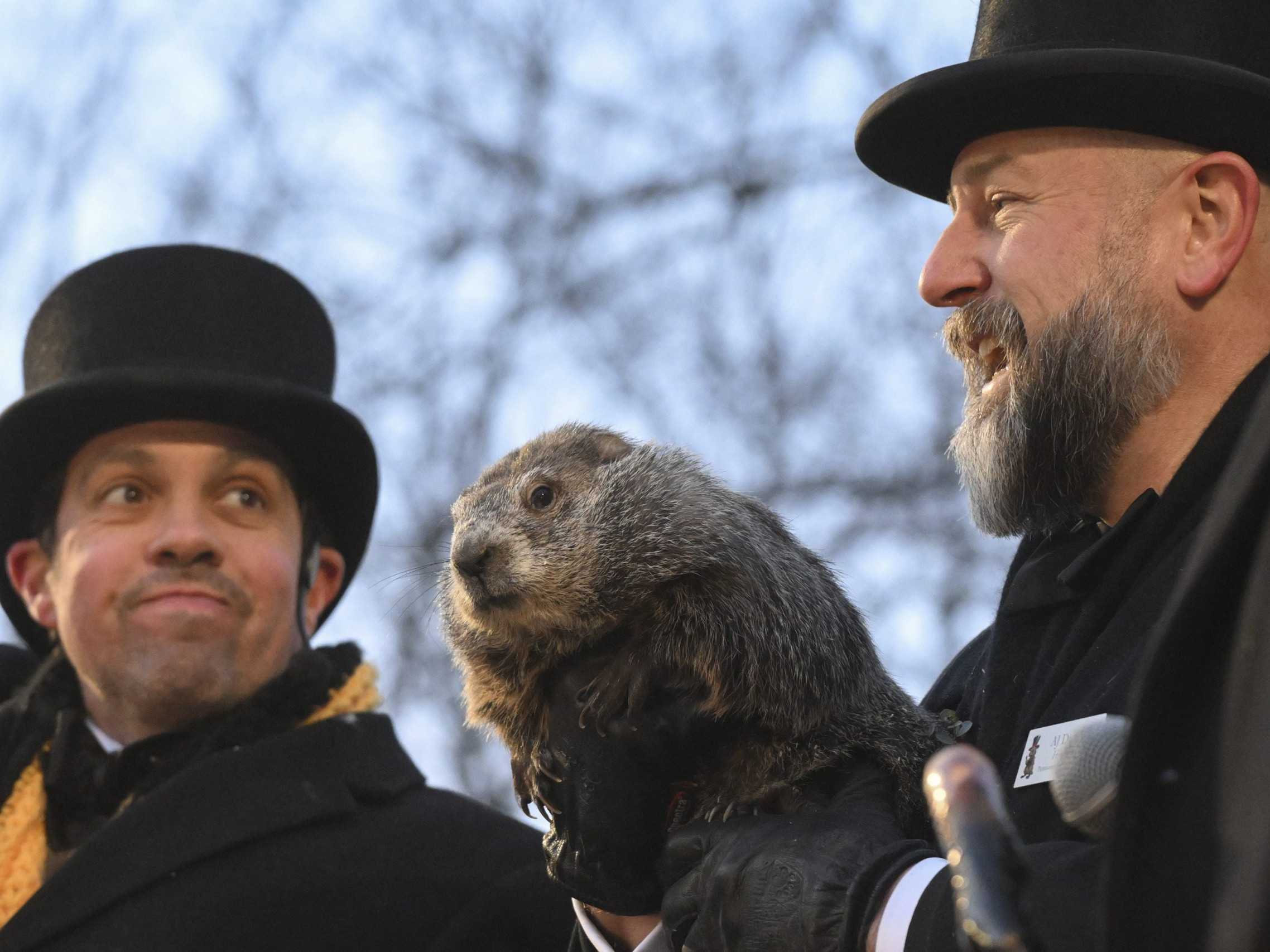 VIDEO: Slávny svišť Phil opäť predpovedal počasie. Zima má trvať ešte šesť týždňov