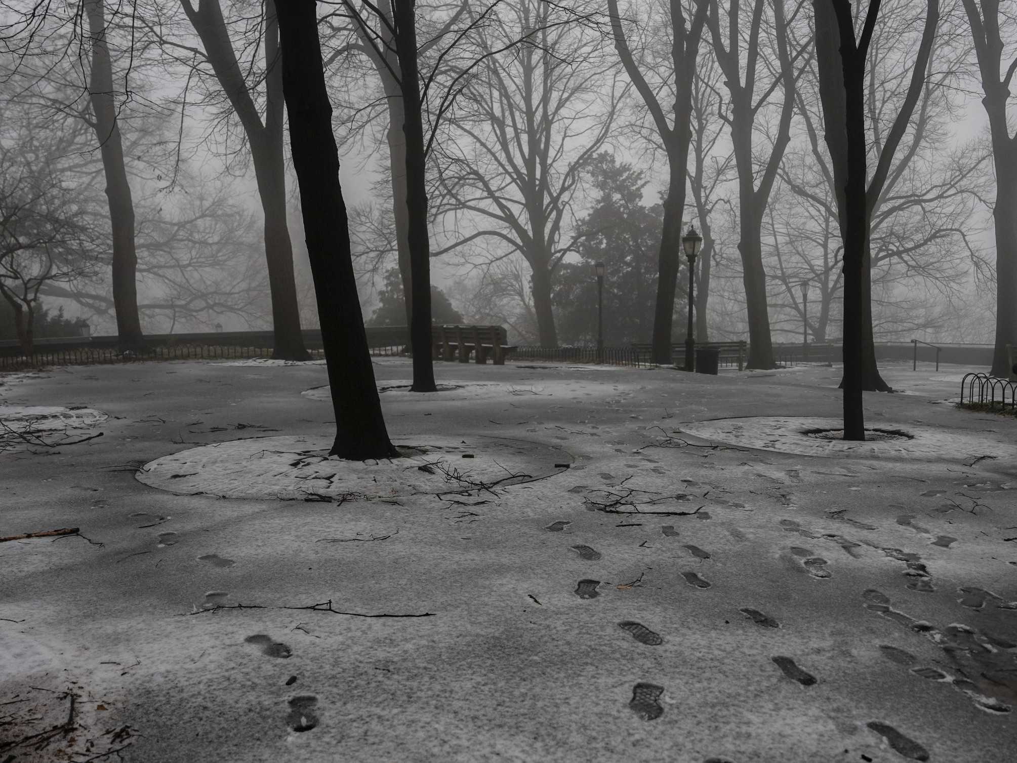 Mrazivé počasie v parku