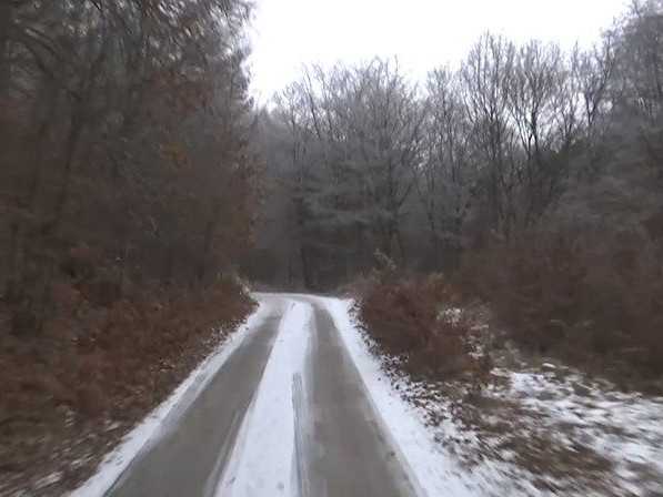 Na ilustračnej snímke pohľad na lesnú cestu.