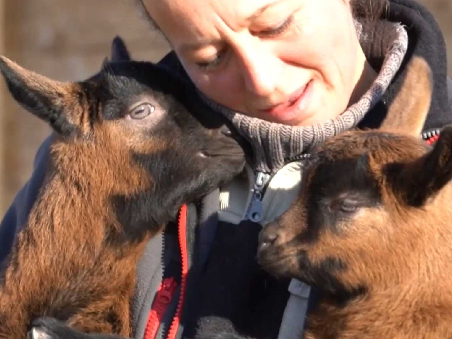 Majiteľka hospodárstva vyčíslila predbežne škodu na päťtisíc eur.