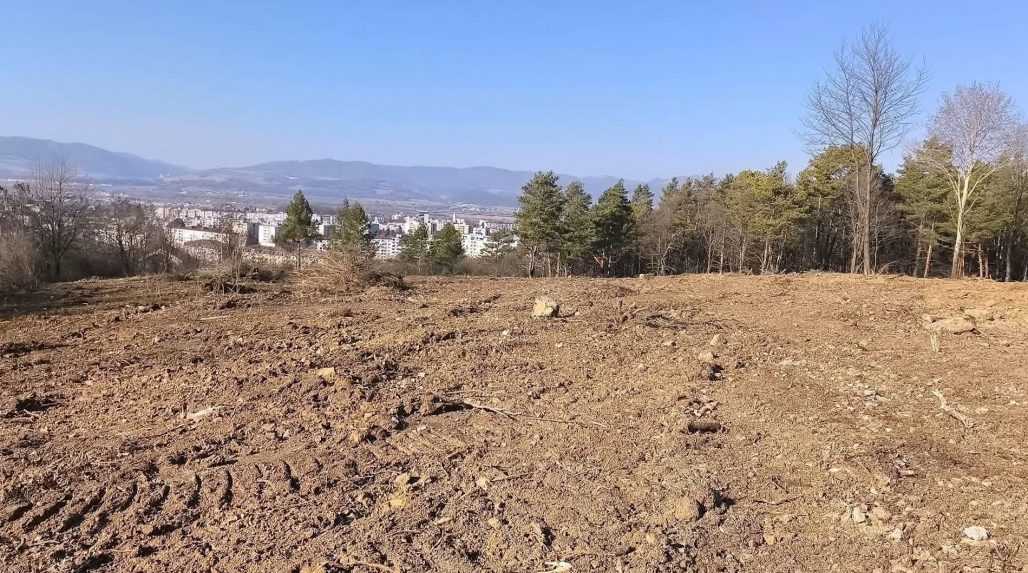 Obyvateľom Dubnice nad Váhom zmizla v záhradkárskej oblasti časť lesa. Situáciu preveril štáb STVR priamo na mieste