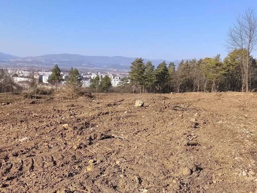 Obyvateľom Dubnice nad Váhom zmizla v záhradkárskej oblasti časť lesa. Situáciu preveril štáb STVR priamo na mieste