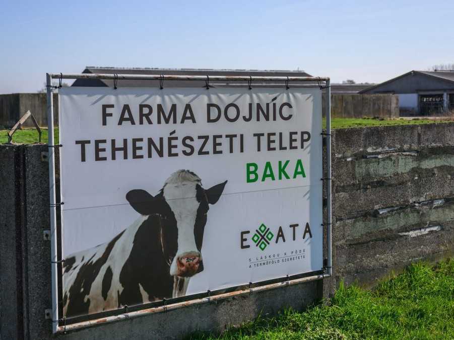 Envirorezort vytypoval vhodné lokality na zakopanie utratených zvierat. Úvahy o Žitnom ostrove zamietol