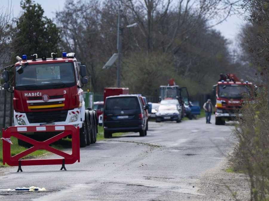 Vláda v súvislosti s výskytom slintačky a krívačky nariadila ministrom úlohy. Žiadať budú aj pomoc z iných krajín EÚ