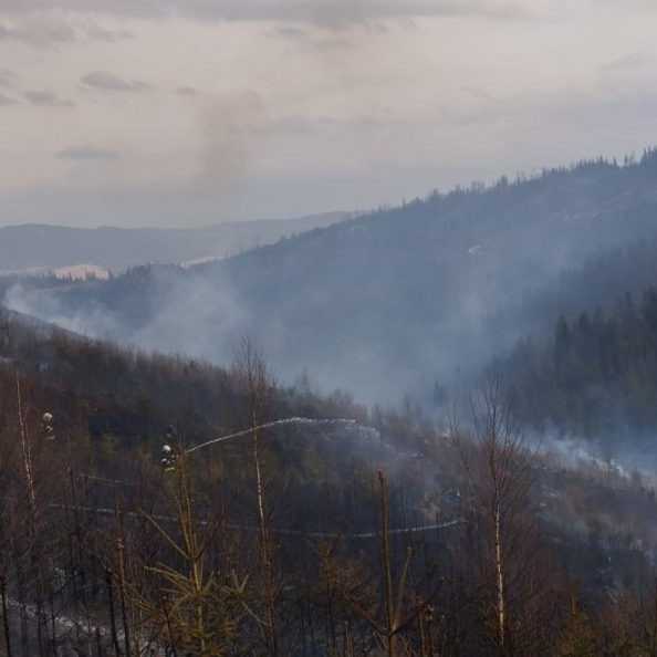 V lese na Orave vypukol požiar: Hasiči dostali oheň pod kontrolu, prácu im komplikuje silný vietor