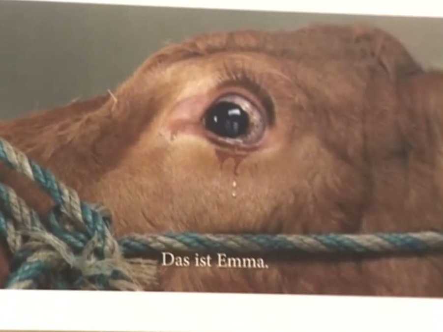 Na snímke transparent z protestov farmárov proti zabíjaniu zdravých zvierat.