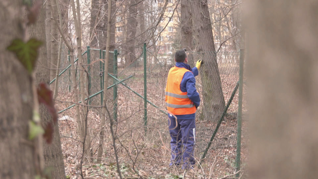 Odsúdení a sociálne slabí pomáhajú v Banskej Bystrici pri jarnom čistení mesta. Mesto by bez ich pomoci nemalo dostatok ľudí