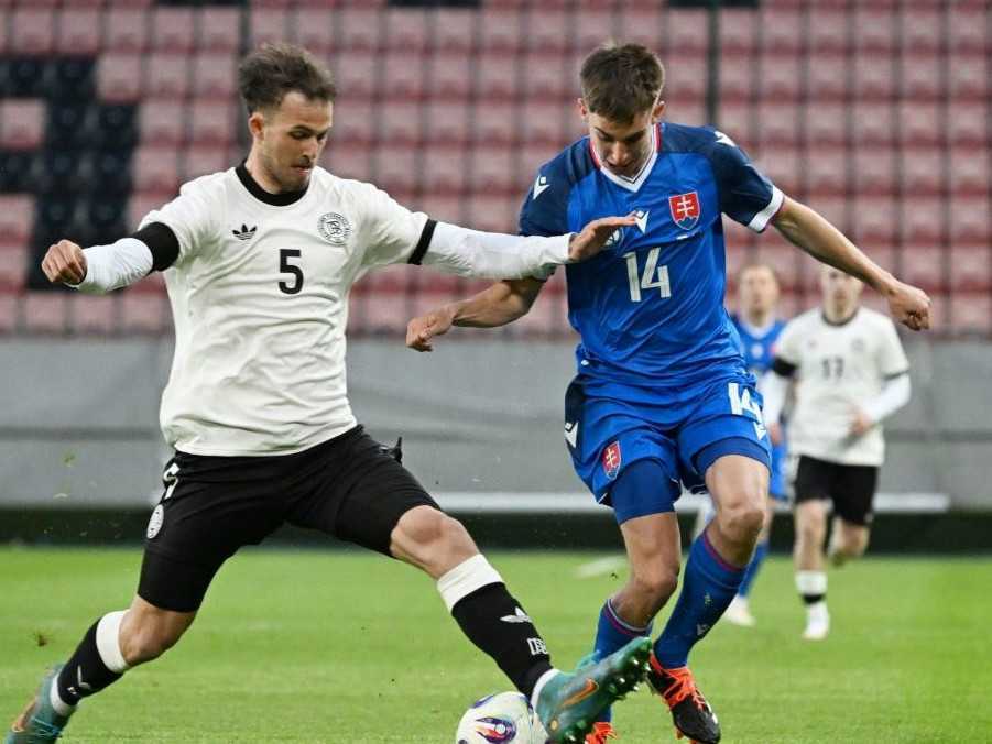 futbalisti Slovenska a Nemecka