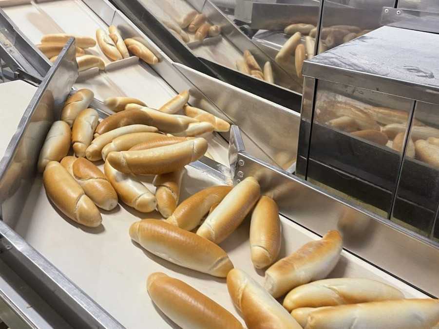 Žiadne červy, kobylky ani svrčky do slovenskej múky pridávať nebudú, hovoria slovenskí mlynári