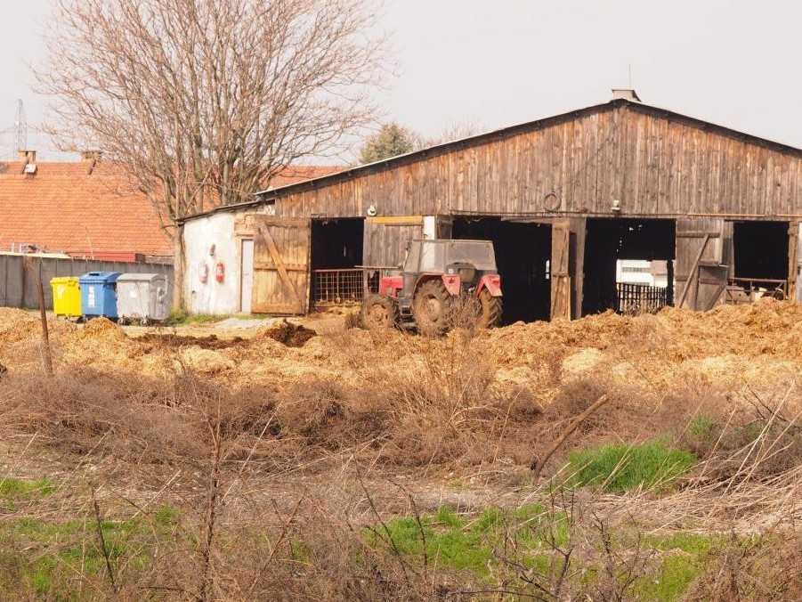 Areál družstva v Podunajských Biskupiciach.