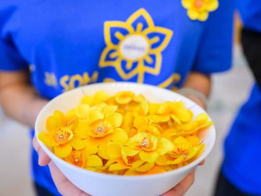 Narcisy pri príležitosti Dňa narcisov.