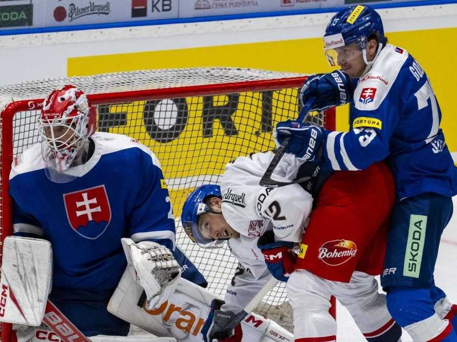 Na snímke hokejisti Slovenska a Česka počas prípravného zápasu.