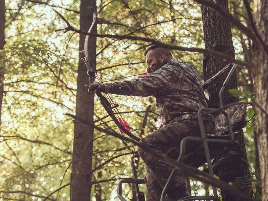 Poľovníci žiadajú úplnú legalizáciu lovu lukom, pre lovca i prírodu vraj môže byť prínosom. Ochranári však nesúhlasia