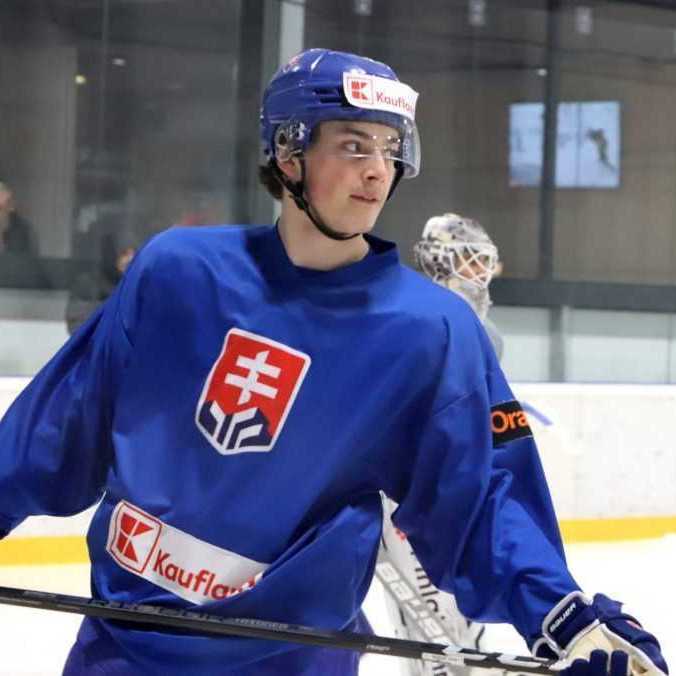 Konečne sa dočkal: St. Louis Blues povolali Dalibora Dvorského do prvého tímu