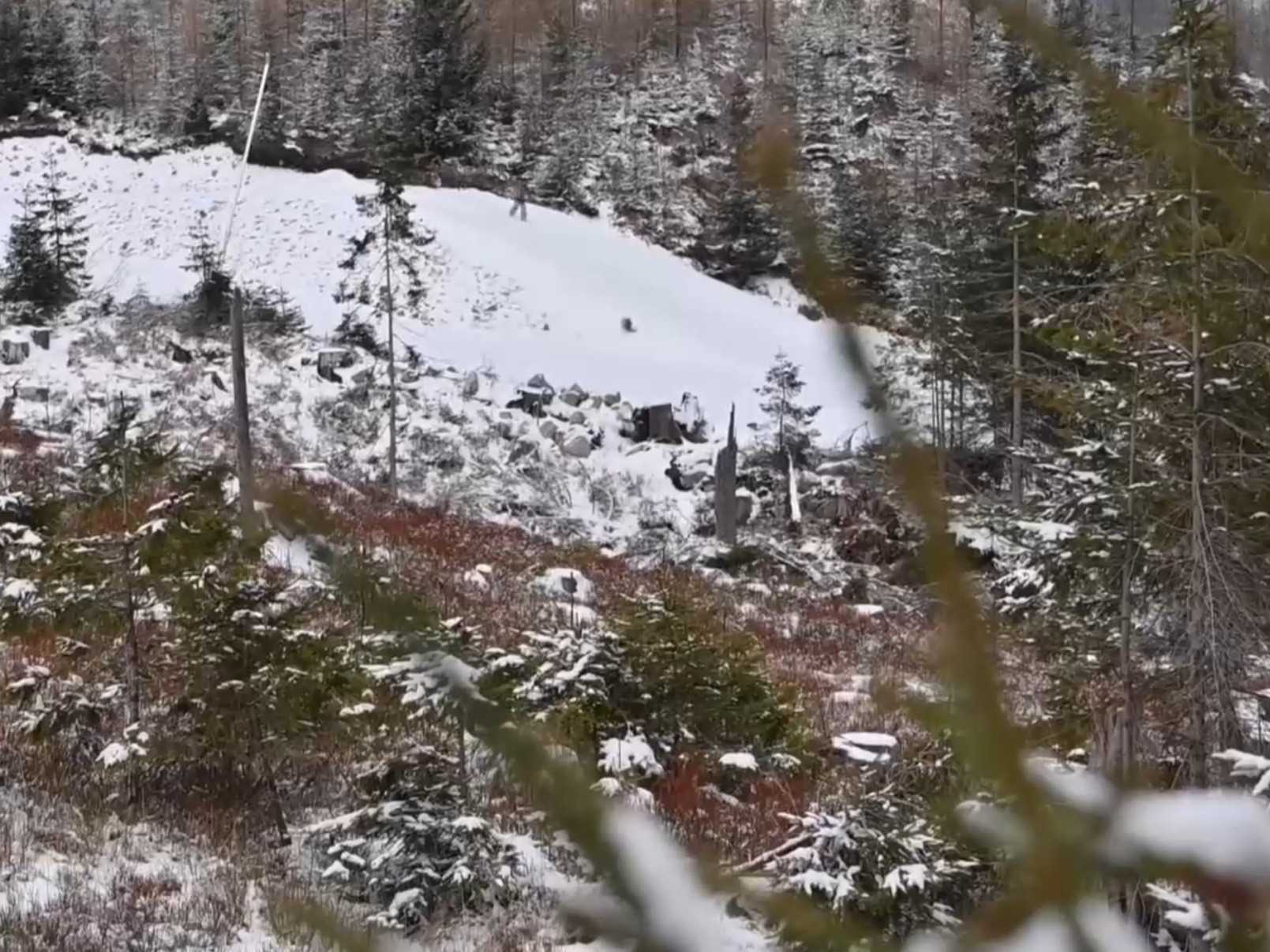 Prevádzkovateľ strediska tvrdí, že na projekte pracuje desať rokov.