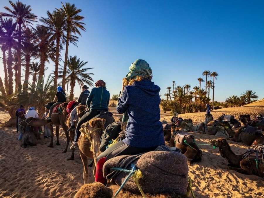 Saharská púšť. Osoby sa púšťou premávajú na ťavách.