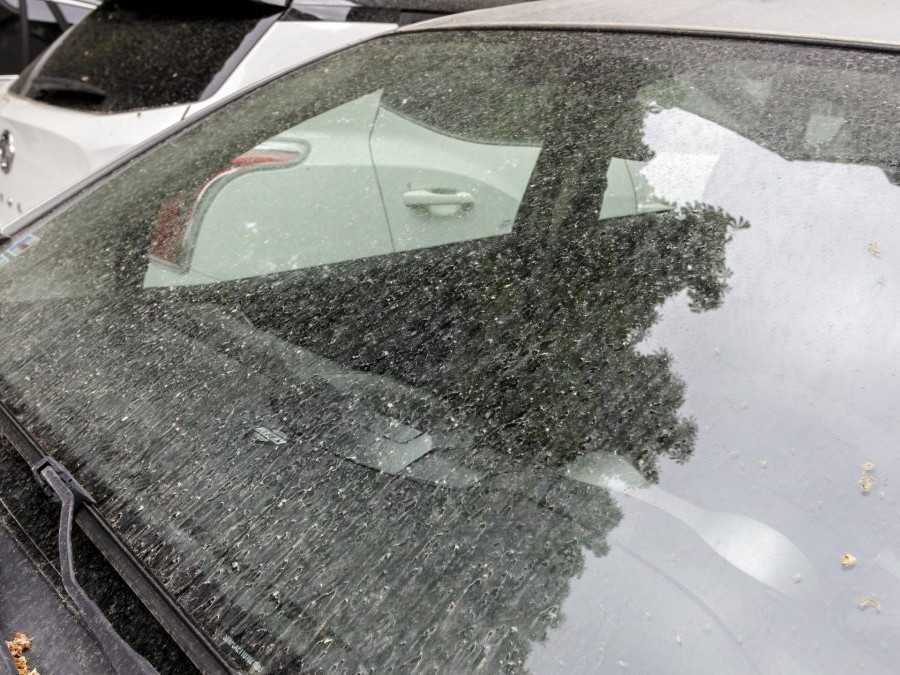 Na čelnom skle auta je saharský prach.