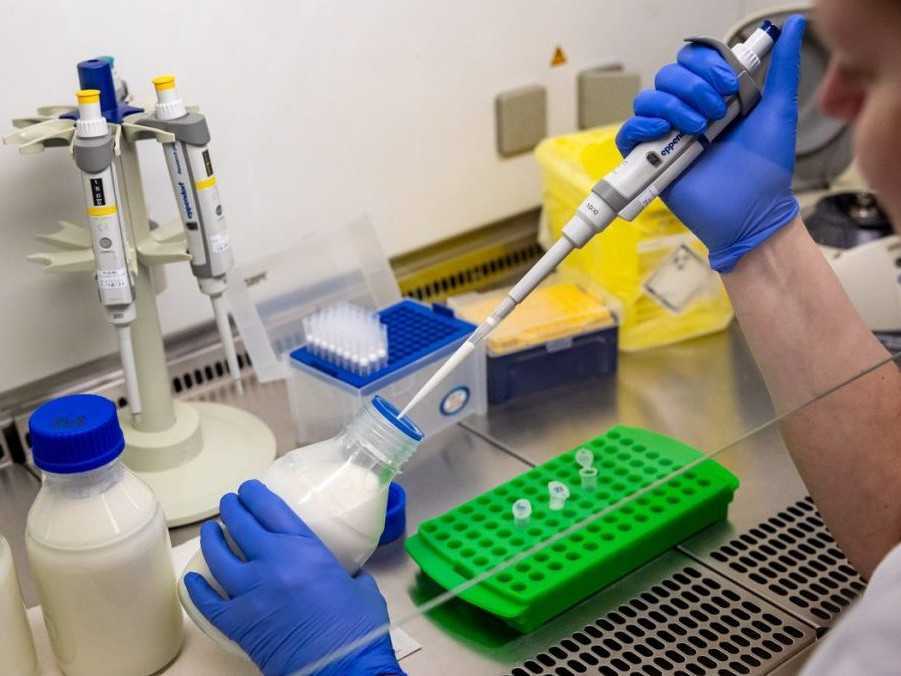 Na ilusračnej snímke laborantka kontroluje prítomnosť slintačky v mlieku.