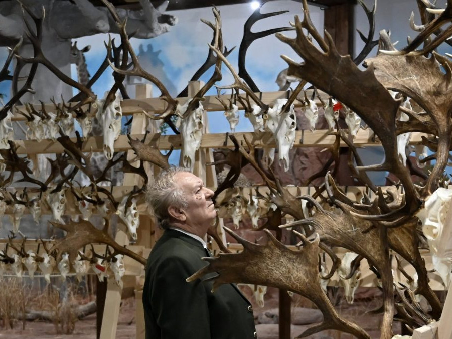 Poľovnícke trofeje