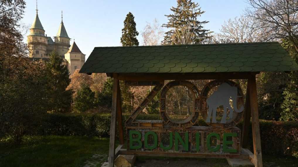 Bojnická zoo sa opäť otvára. Agrorezort uvoľňuje ďalšie opatrenia proti šíreniu slintačky a krívačky