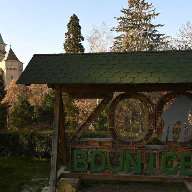 Bojnická zoo sa opäť otvára. Agrorezort uvoľňuje ďalšie opatrenia proti šíreniu slintačky a krívačky