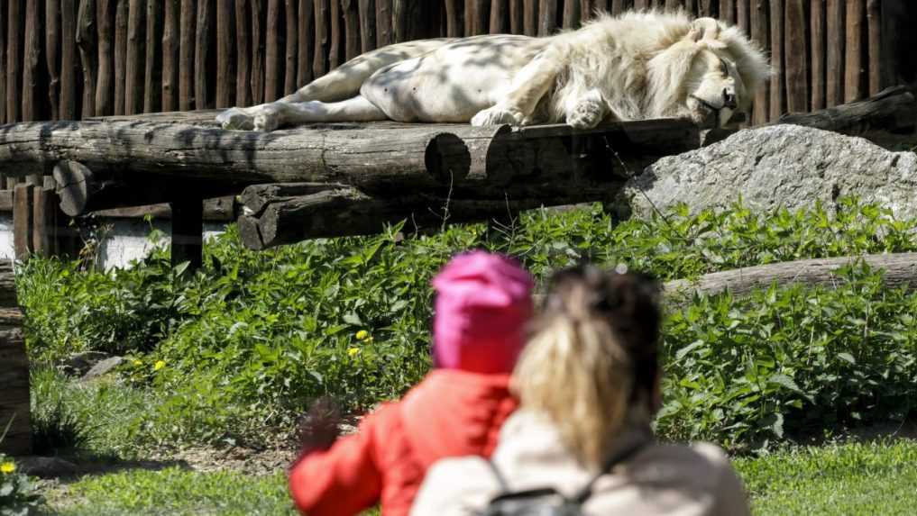 Brány zoologických záhrad na západnom Slovensku sa od stredy otvoria, potvrdil to šéf štátnych veterinárov M. Chudý