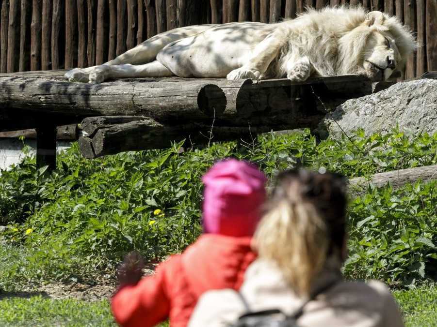 Návštevníci v Zoologickej záhrade v Bratislave.