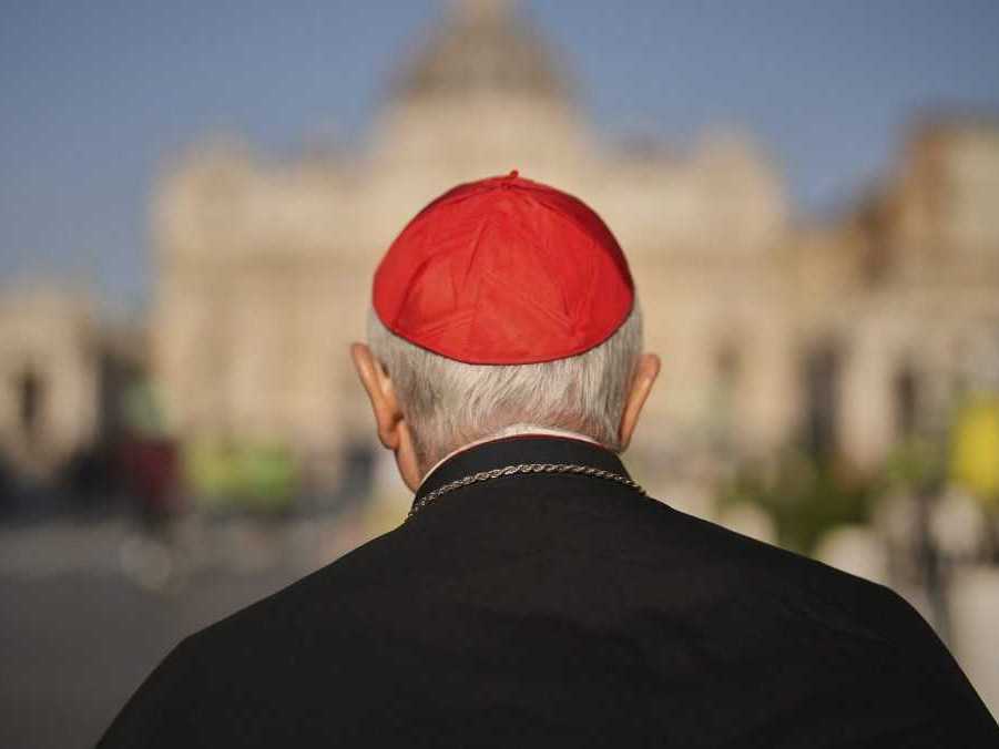 Na snímke kardinál.