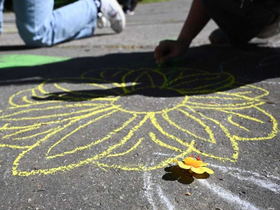 Na ilustračnej snímke narcis nakreslený na chodníku a umelý narcis.