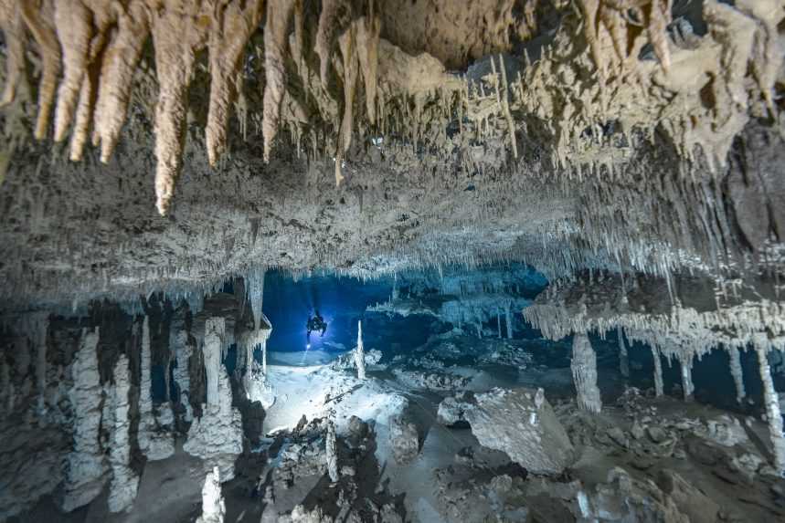 Potápa sa po boku žralokov a hlboko pod hladinou skúma neobjavené miesta. Fotograf Strmiska fotil aj po uhryznutí