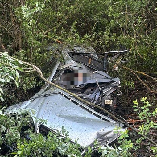 Jedna osoba prišla o život pri dopravnej nehode na Záhorí. Vozidlo zišlo s cesty a narazilo do stromu