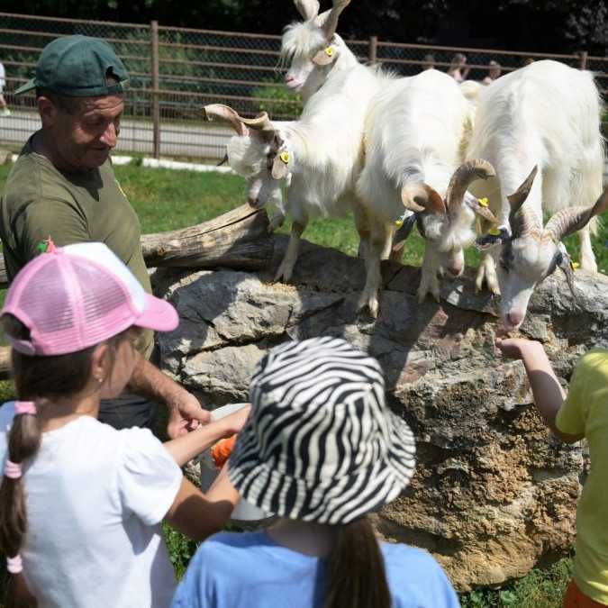 Letný tábor môže byť záťažou pre rozpočet. Výdavky za posledné roky stúpli aj o štvrtinu, upozorňuje odborníčka