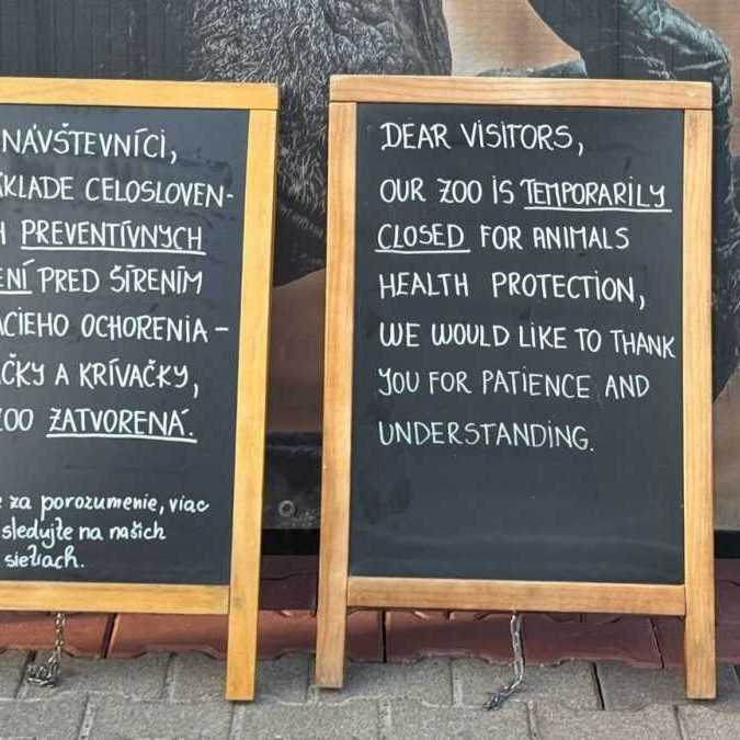 ZOO v Bratislave prišla pre opatrenia proti slintačke a krívačke o tržby vo výške 500-tisíc eur