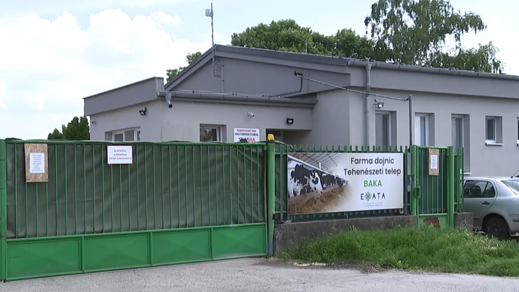 Chovatelia sa spamätávajú po nákaze slintačky a krívačky. Náklady platia z vlastného, konkrétna pomoc zatiaľ neprišla