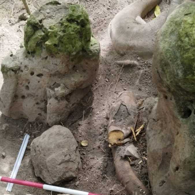 Archeológovia majú vzácny nález: V Guatemale objavili pozostatky mayského mesta starého 2 800 rokov