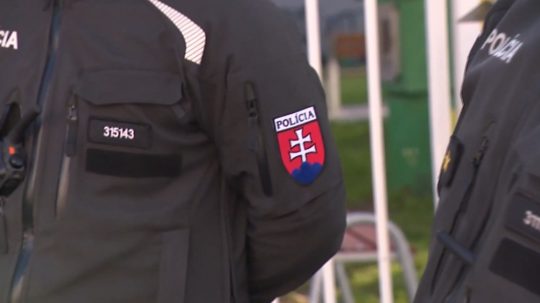 Na ilustračnej snímke policajt.