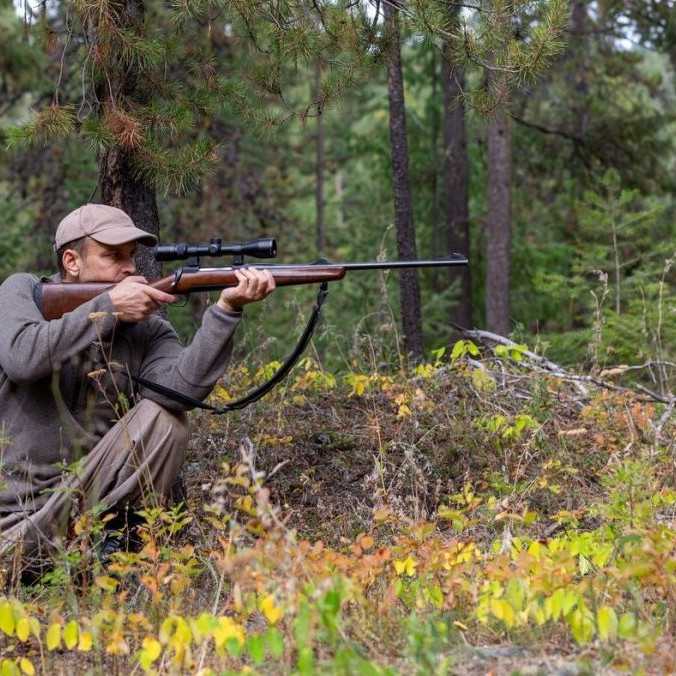 Podľa bývalého vedenia envirorezortu klesá záujem poľovníkov o odstrel medveďa. F. Kuffa popiera, že by sa na ňom podieľala armáda