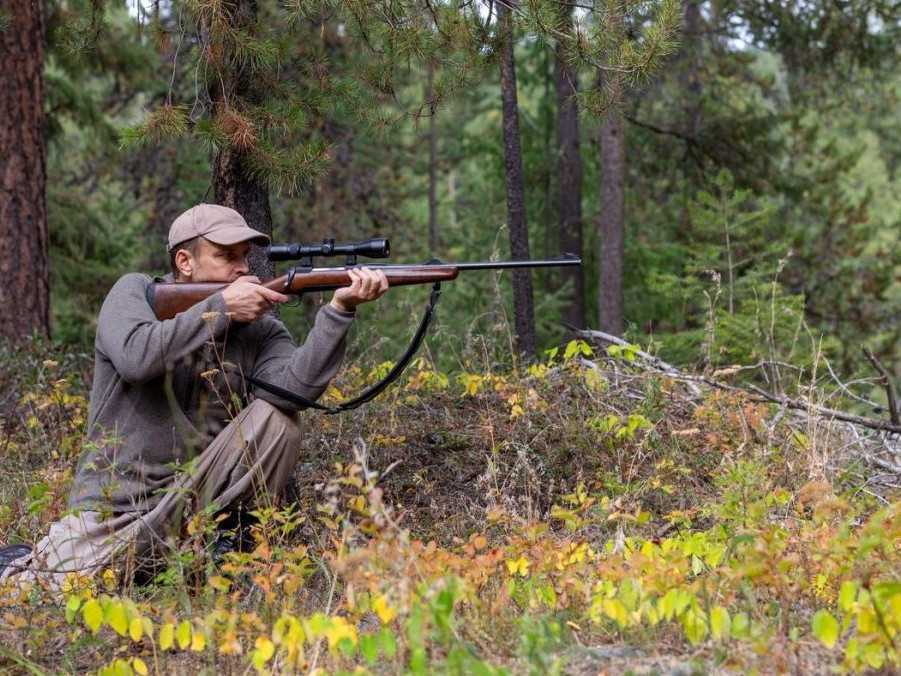 Na ilustračnej snímke poľovník v lese.