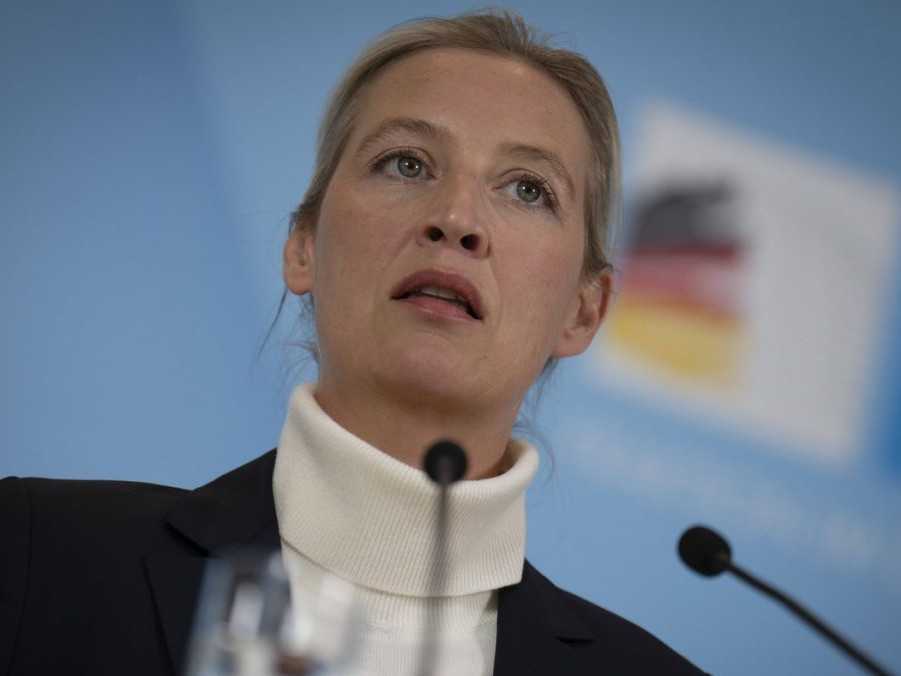 Spolupredsedníčka strany AfD Alice Weidelová.